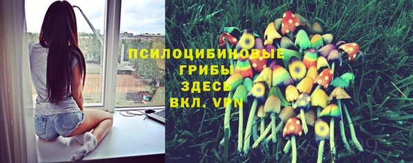 соль ск Навашино