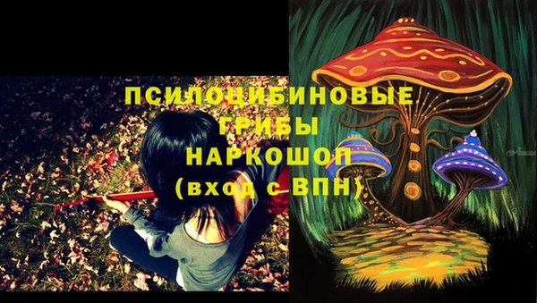 амф Наволоки