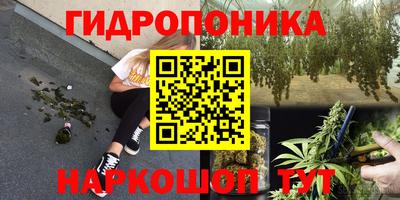 спиды Кинель
