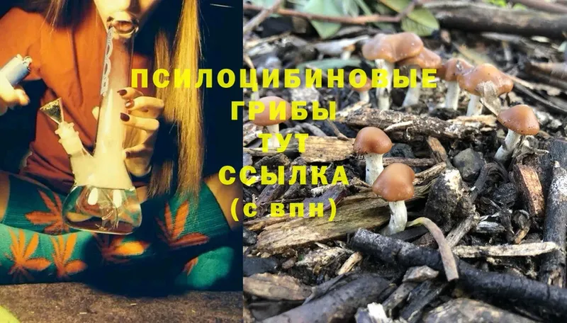 Псилоцибиновые грибы MAGIC MUSHROOMS  Красногорск 