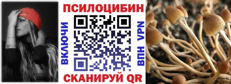 Галлюциногенные грибы MAGIC MUSHROOMS  продажа наркотиков  Красногорск 