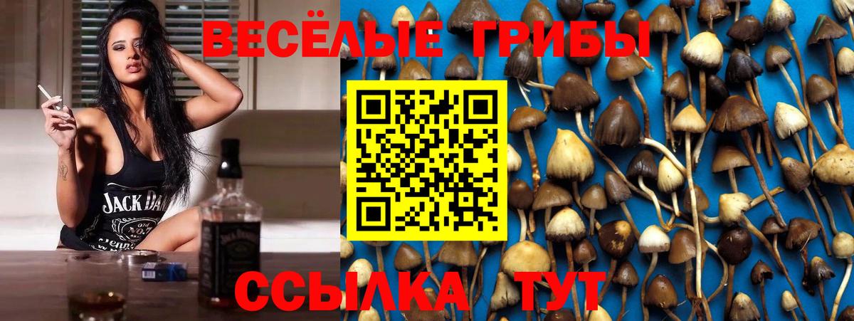 Галлюциногенные грибы Cubensis  Вход с VPN  Красногорск  Галлюциногенные грибы Cubensis 