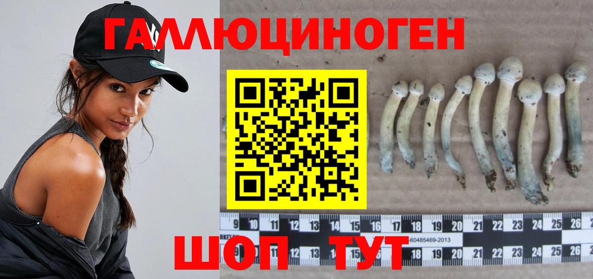 Псилоцибиновые грибы MAGIC MUSHROOMS Красногорск